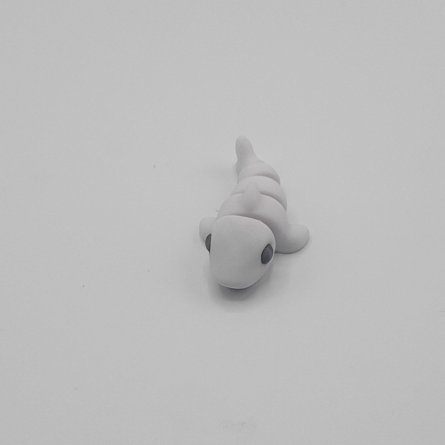 White Shark
