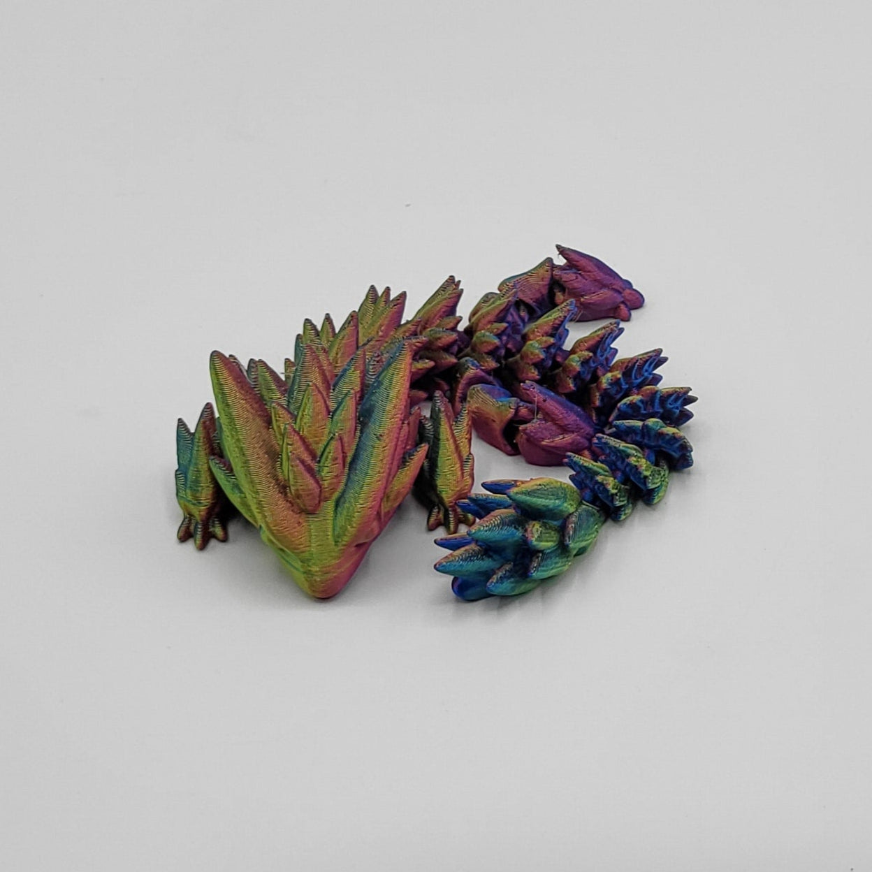 Dragons & Lizards