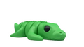 Baby Crocodile