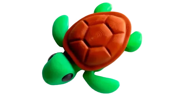 Baby Turtle