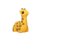 Baby Giraffe