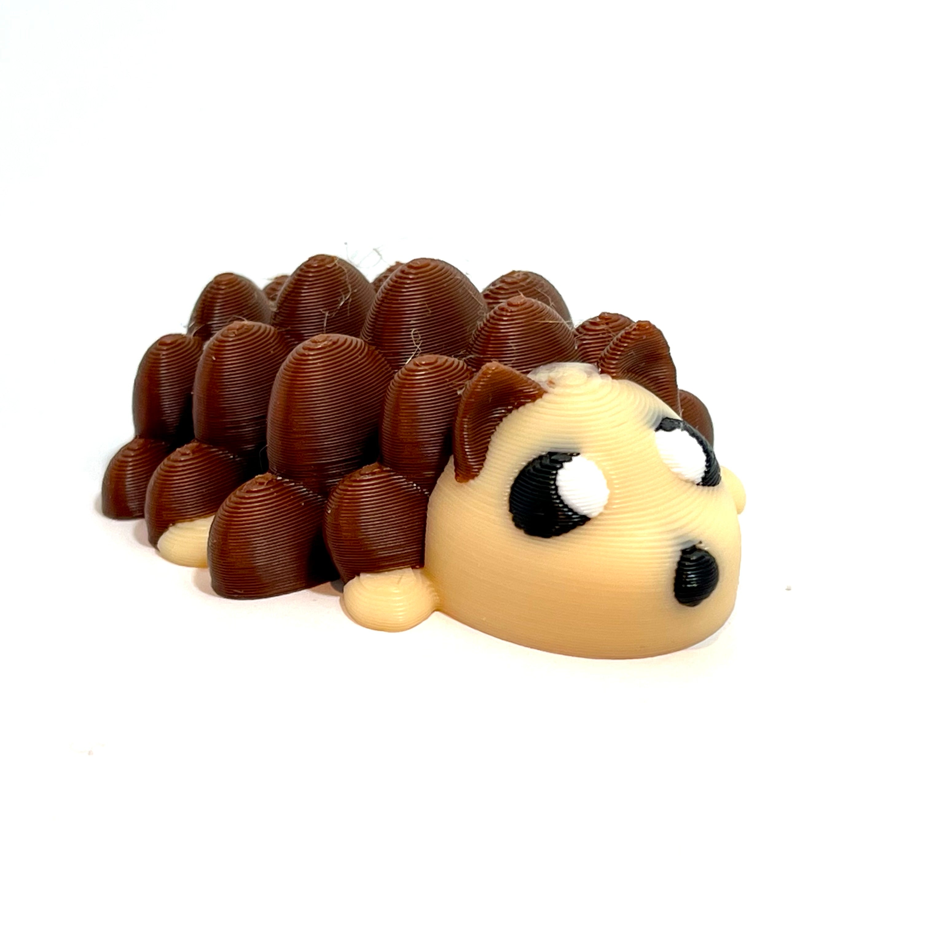 Baby Hedgehog