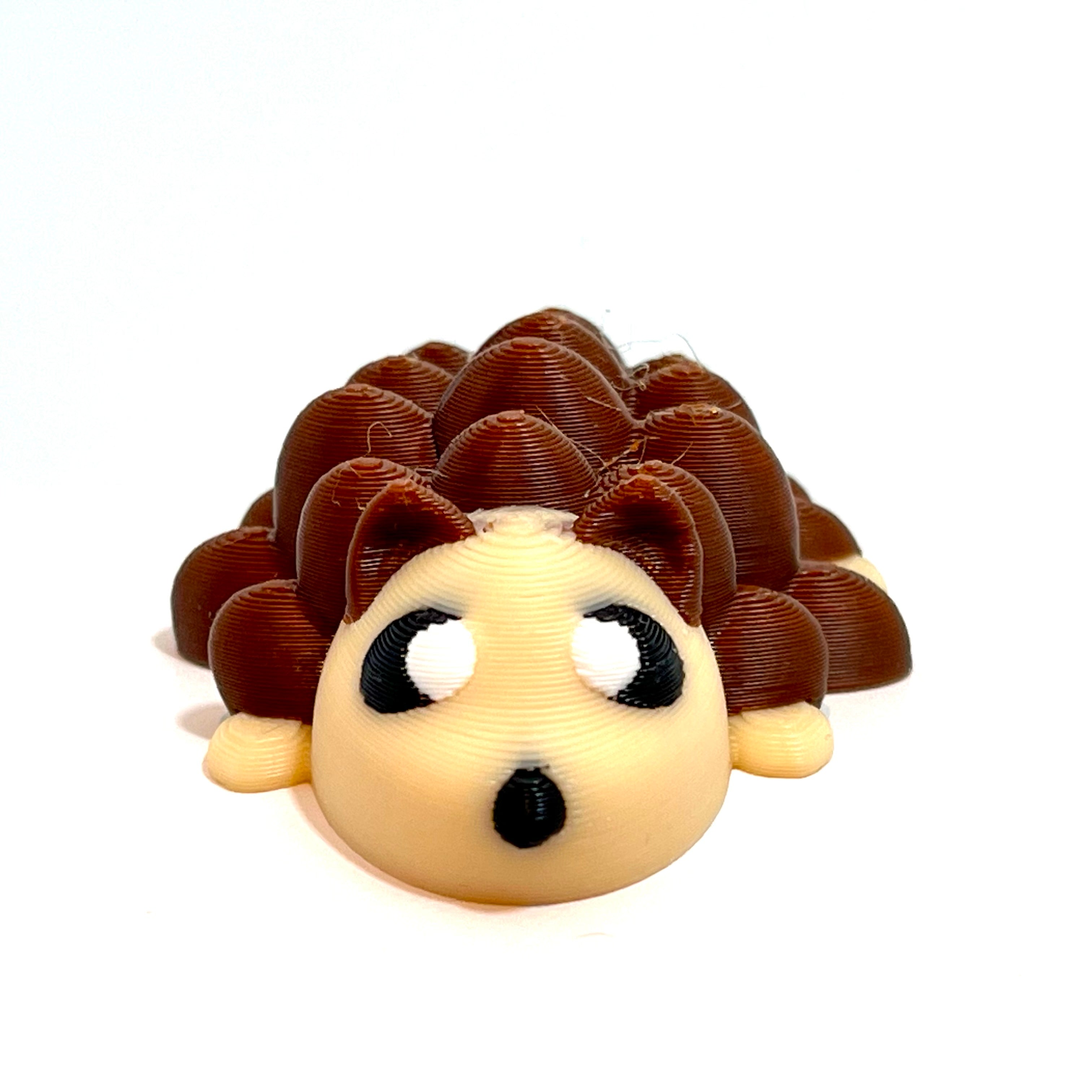 Baby Hedgehog