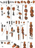 Dummy 13 Un-Assembled