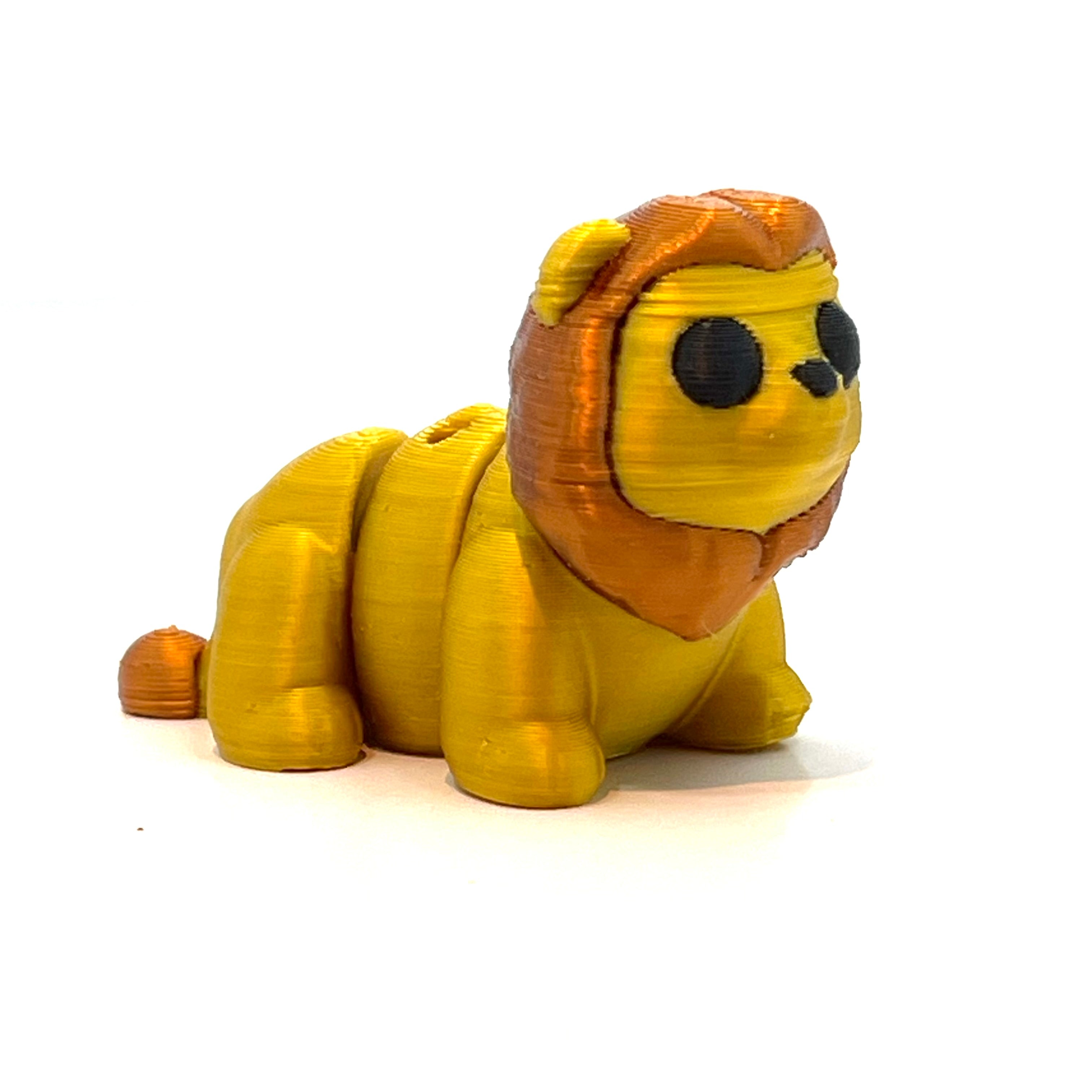 Baby Lion