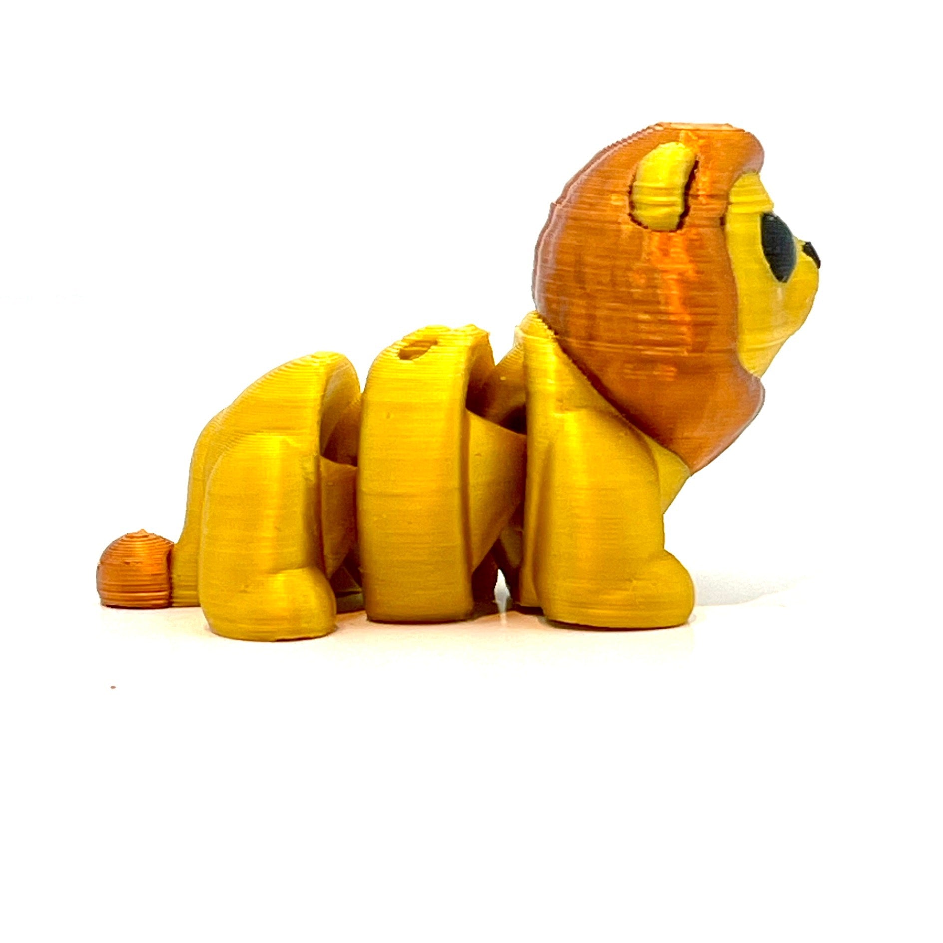 Baby Lion