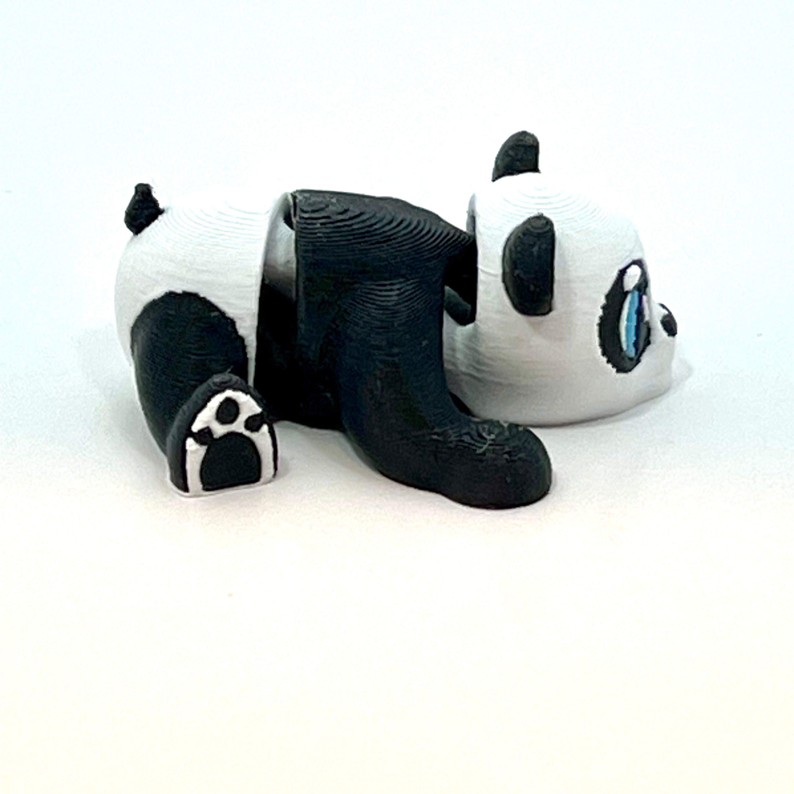 Baby Panda