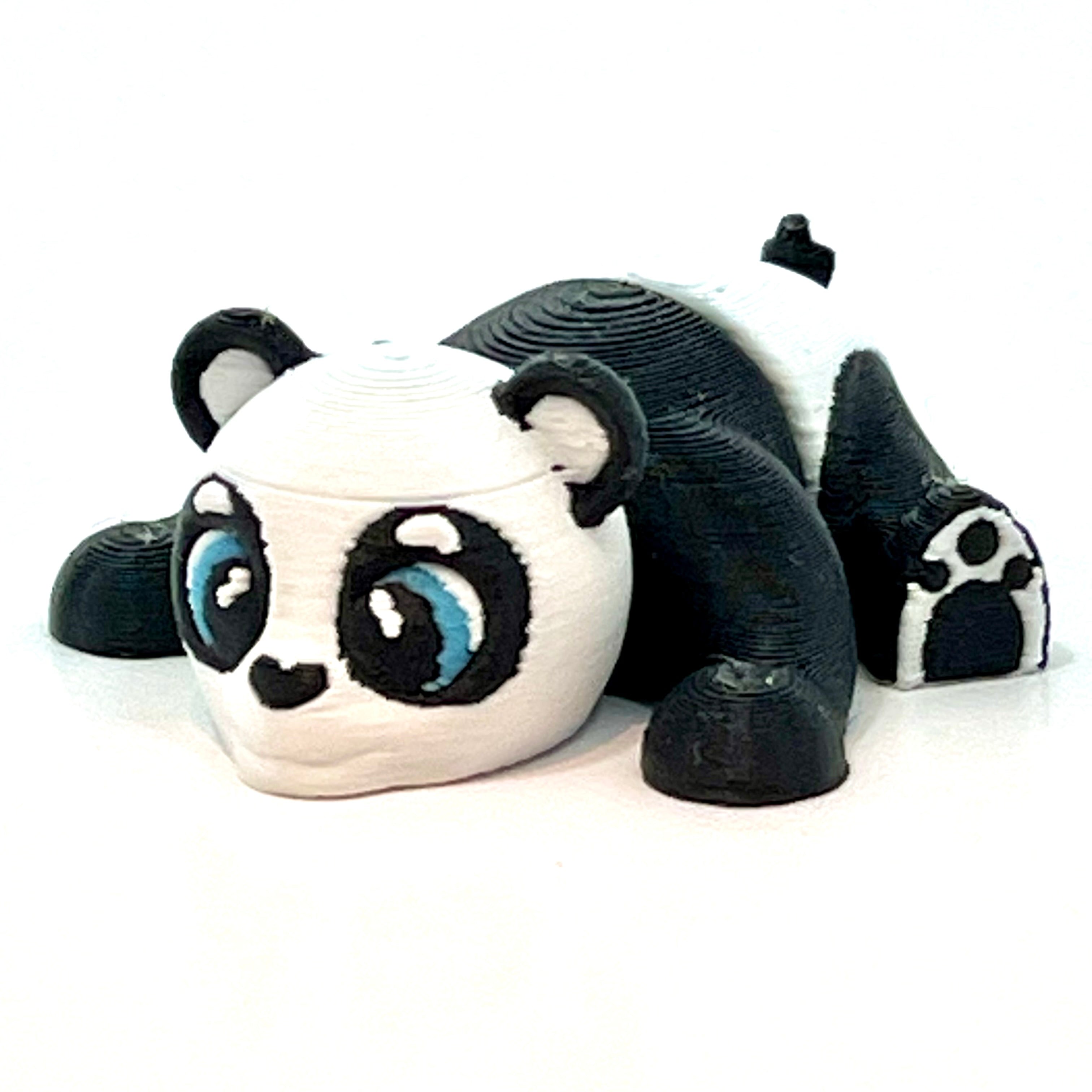 Baby Panda
