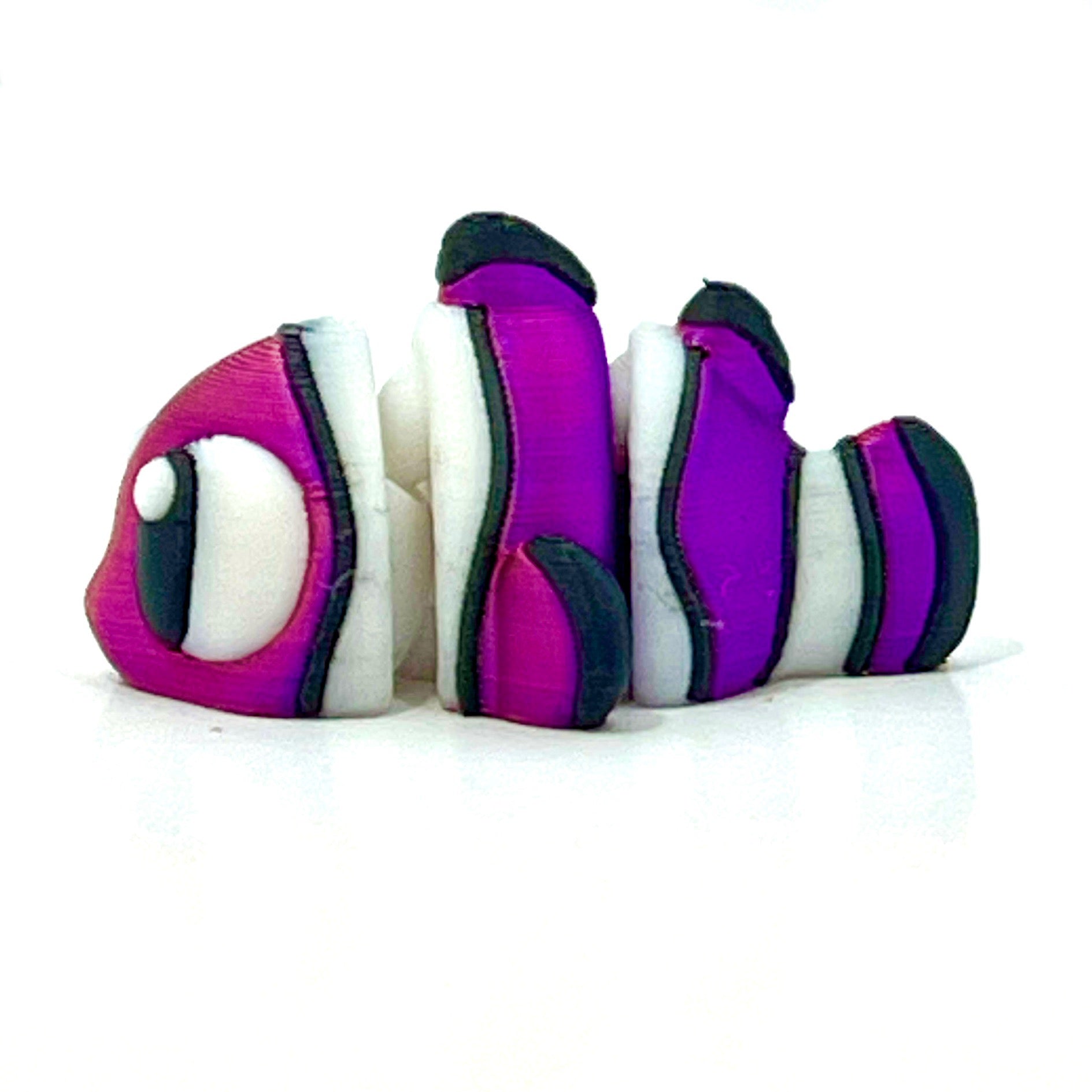 Baby Clown Fish