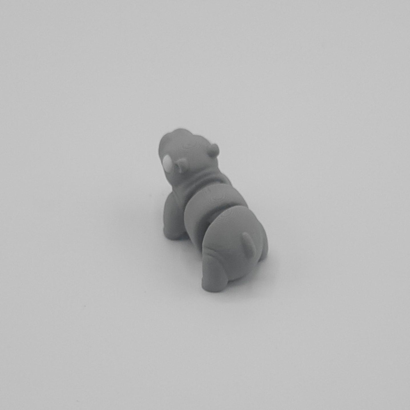 Baby Hippo