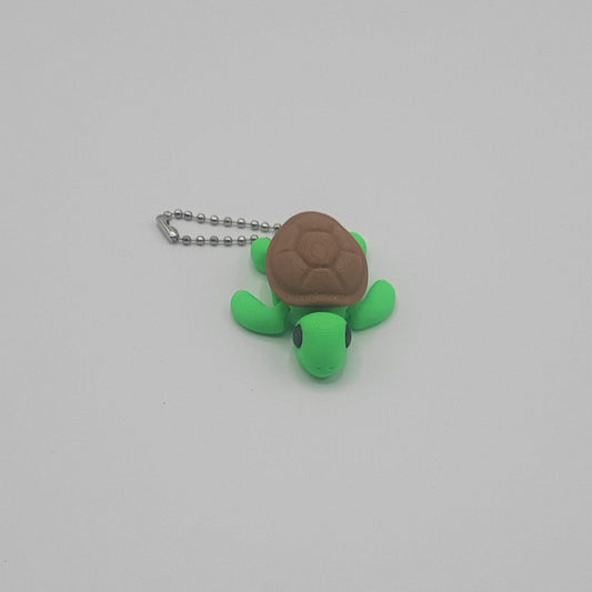 Baby Turtle